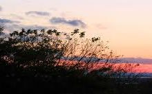 六月 五大最佳（真正匿名的）无日志机场节点-如何打开谷歌