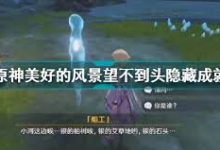 如何用双币信用卡购买Nord机场节点-如何打开谷歌