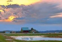 10大香港付费机场推荐-如何打开谷歌