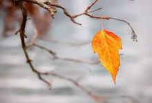 7款iPhone最佳机场付费翻牆软件排名-如何打开谷歌