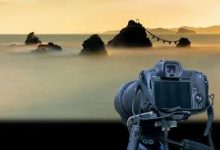 Panda(熊猫)加速器评测-性价比最高的扶墙工具-如何打开谷歌