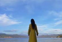 国外收费机场推荐排行榜-如何打开谷歌