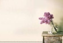 年最值得购买的优质超便宜机场-如何打开谷歌