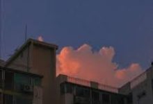 使用机场观看Netflix-如何打开谷歌