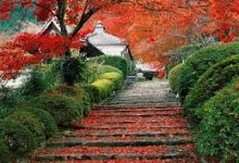 为Kindle Fire HDX平板电脑获取机场-如何打开谷歌