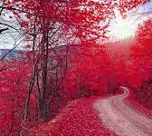 为什么肖战能上ins李子柒可以刷油管？“代理节点”是否违法-如何打开谷歌