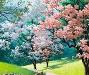 稳定的付费机场推荐-如何打开谷歌