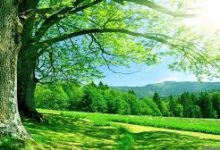 在购买机场服务之前需要考虑的10件事-如何打开谷歌