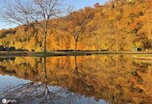 在中国购买收费机场有些稳定便宜可以用的节点排名-如何打开谷歌