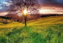 知乎免费推荐手机最新代理节点方法国外付费机场梯子安卓苹果ios好用的机场加速器最值得推荐的付费ssr代理节点教程-如何打开谷歌