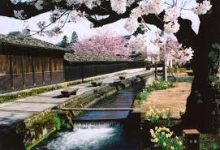 知乎推荐机场苹果mac跟大家一个好用的付费梯子软件-如何打开谷歌