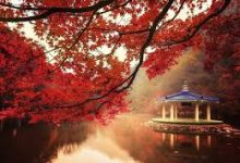 最好的国外机场推荐和电脑PC安卓苹果手机fanqiang梯子軟件排名-如何打开谷歌