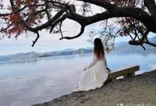 最佳机场推荐排名稳定能用的付费机场购买机场节点梯子软件下载-如何打开谷歌