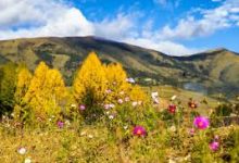 最适合iPhone使用的付费机场推荐排名-如何打开谷歌