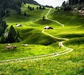 最值得购买的优质超便宜机场-如何打开谷歌