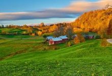 电脑机场推荐付费PC机场软件如何购买windows10 机场软件电脑梯子-如何打开谷歌