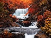 电脑可以用的PC机场推荐-如何打开谷歌