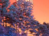 win10怎么挂机场-如何打开谷歌