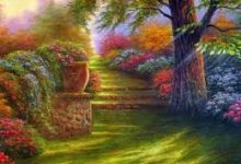 3款iphone最佳小火箭翻牆软件清单iOS推荐-如何打开谷歌