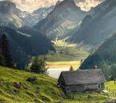 apple手机iphone最好的iOS 小火箭应用程序-如何打开谷歌