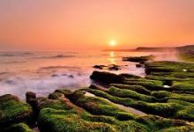 ipad上外网软件-如何打开谷歌