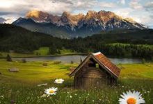 获得用于所有 iOS 设备的 小火箭-如何打开谷歌