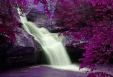 免费推荐苹果iphonex如何设置小火箭上外网教程,国外iphonexs怎么设置小火箭梯子-如何打开谷歌