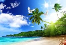 苹果13ios如何在 iPhone 上配置设置 小火箭推荐排名-如何打开谷歌