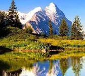 苹果iphone14plus小火箭怎么设置上外网免费推荐国外iphone14小火箭梯子设置方法流程-如何打开谷歌