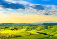 苹果手机设置小火箭的具体操作流程_iPhone的小火箭设置教程_苹果手机小火箭怎么设置-如何打开谷歌