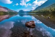 细数几款提供Mac客户端的小火箭-如何打开谷歌