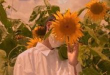 下载 iPhone 版和 iPad 版 小火箭软件梯子 iOS 应用-如何打开谷歌