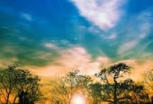 6个年最好的手机机场节点推荐-如何打开谷歌