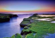 Express机场节点可以同时连接多少台设备？-如何打开谷歌