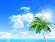 机场节点如何工作?-如何打开谷歌