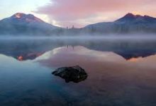 年适用于亚马逊电视的最佳机场节点推荐-如何打开谷歌