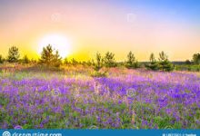 如何使用机场节点速度测试Express机场节点下载速度？-如何打开谷歌