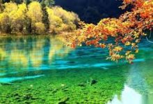 如何在中国使用Facebook，Twitter，Instagram和Gmail？-如何打开谷歌