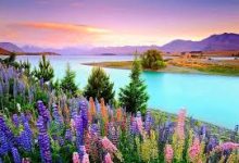 如何注册美区的 Apple ID ？-如何打开谷歌