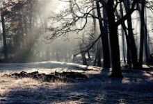 什么是Open机场节点？仔细看看这个流行的机场节点加密协议-如何打开谷歌