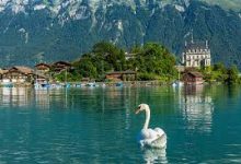 移动互联网的机场节点应用程序-如何打开谷歌